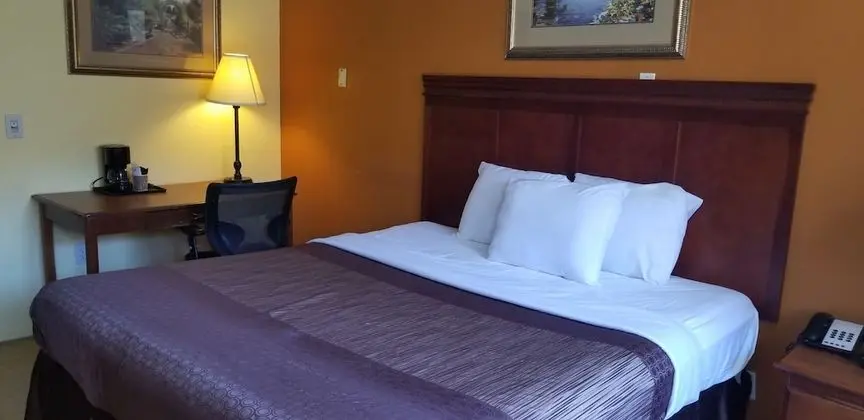 Comfort Tek Kişilik Oda, 1 En Büyük (King) Boy Yatak, Sigara İçilebilir