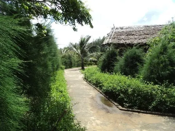Forest Eco Cottage