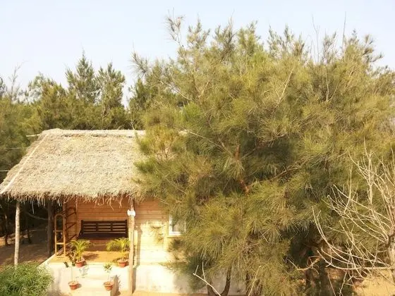 Forest Eco Cottage