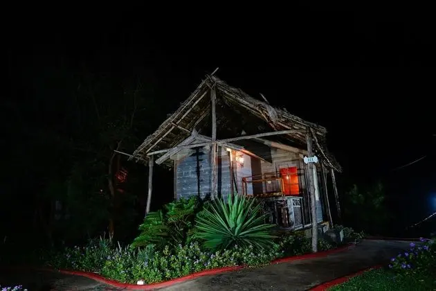 Forest Eco Cottage