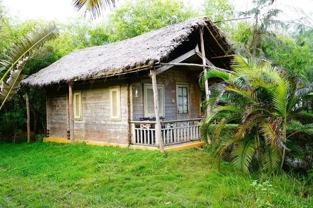 Forest Eco Cottage