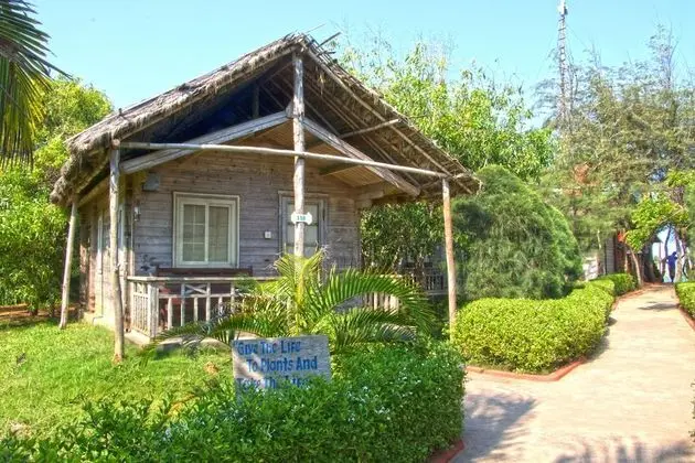 Forest Eco Cottage