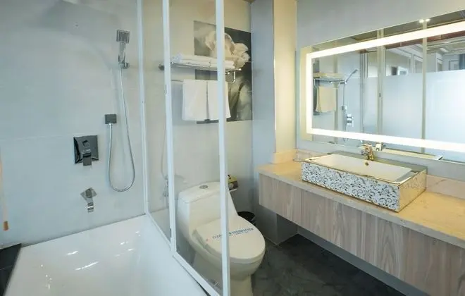 Premium Plus Double or Twin Room