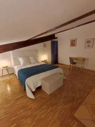 Superior Tek Büyük Yataklı Oda, Bahçe Manzaralı