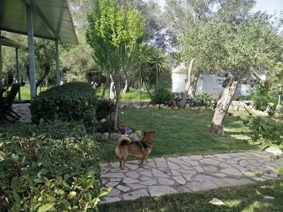 Ev, 3 Yatak Odası, Sigara İçilebilir, Şömine