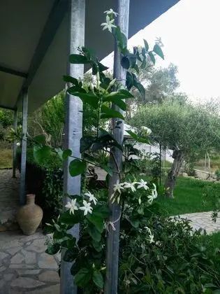 Ev, 3 Yatak Odası, Sigara İçilebilir, Şömine