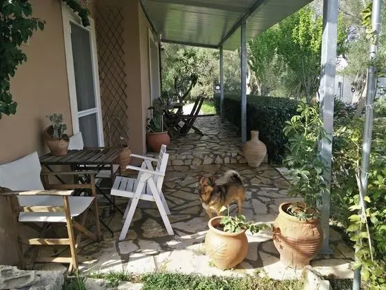 Ev, 3 Yatak Odası, Sigara İçilebilir, Şömine