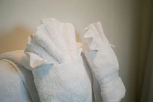 Signature Oda, 1 Büyük (Queen) Boy Yatak, Ortak Banyo