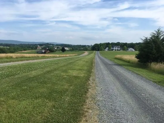 Süit