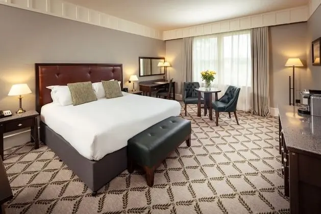 Deluxe Oda (Guest Room)