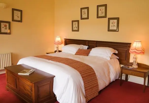 Superior Tek Büyük Yataklı Oda