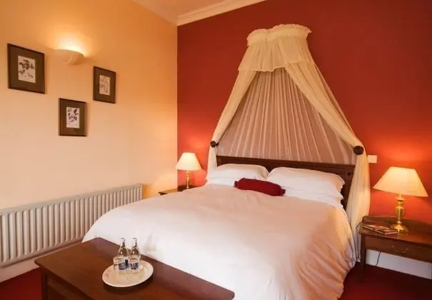 Superior Tek Büyük Yataklı Oda