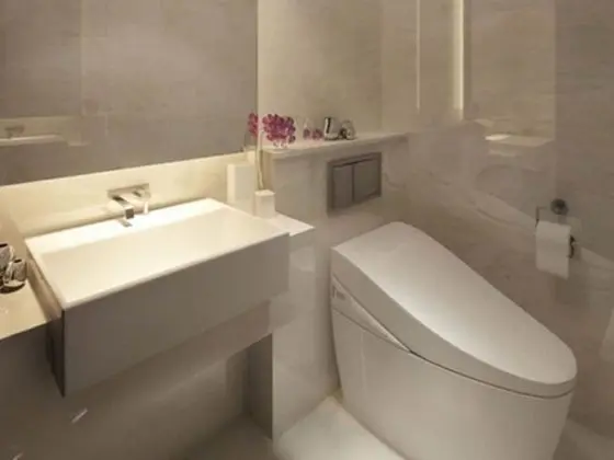 Deluxe İki Ayrı Yataklı Oda (Room Only)