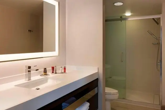 Oda, 1 En Büyük (King) Boy Yatak, Şehir Manzaralı