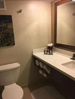 Oda, 1 En Büyük (King) Boy Yatak (Mobility Accessible, Tub)