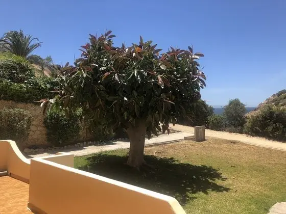 Apart Daire, 2 Yatak Odası, Teras