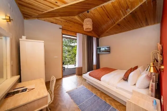Therapy Stone House