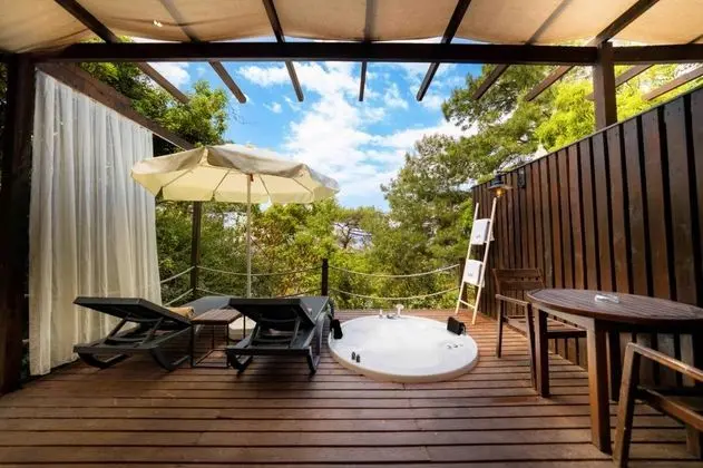 Therapy Stone House