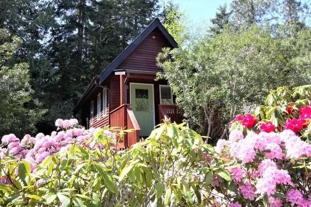 Kulübe (Great Couples Cabin centrally located)