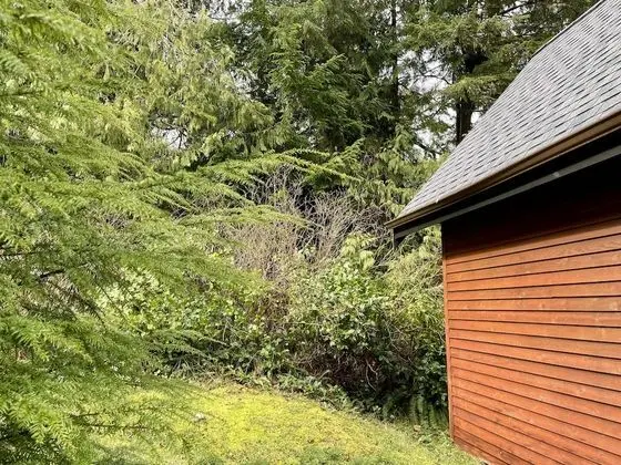 Kulübe (Great Couples Cabin centrally located)