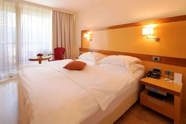 Tek Büyük Yataklı Oda, Balkon, Göl Manzaralı