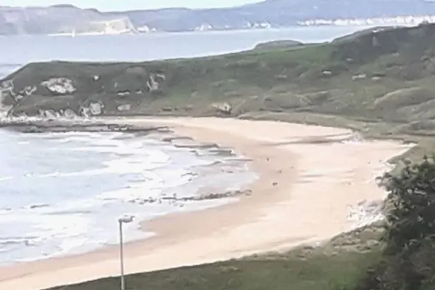 Apart Daire, 1 Büyük (Queen) Boy Yatak