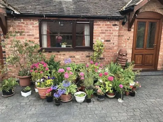 Kır Evi, 1 Büyük (Queen) Boy Yatak