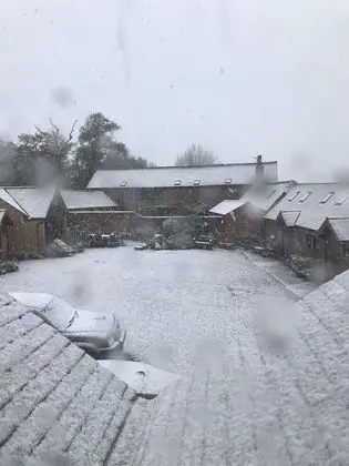 Kır Evi, 1 Büyük (Queen) Boy Yatak