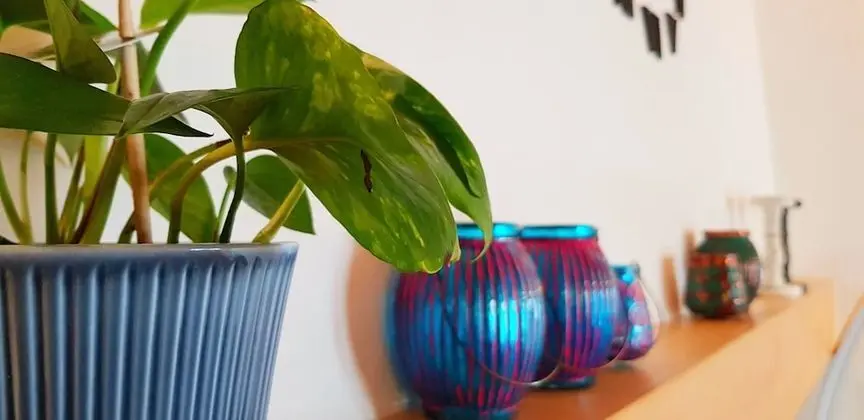 Ev, 1 Büyük (Queen) Boy Yatak