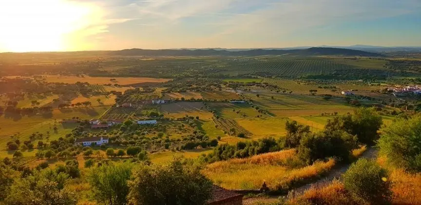 Ev, 1 Büyük (Queen) Boy Yatak