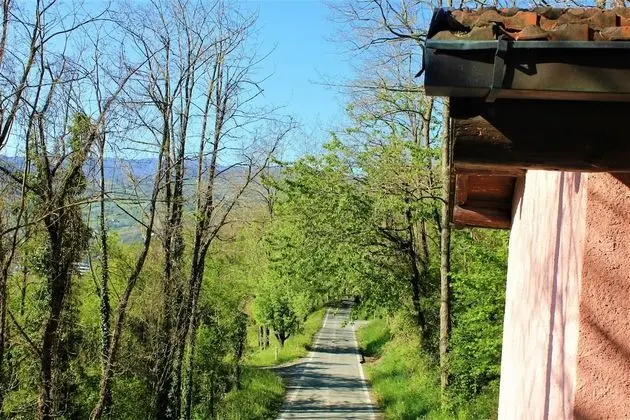 Stüdyo, 1 Büyük (Queen) Boy Yatak