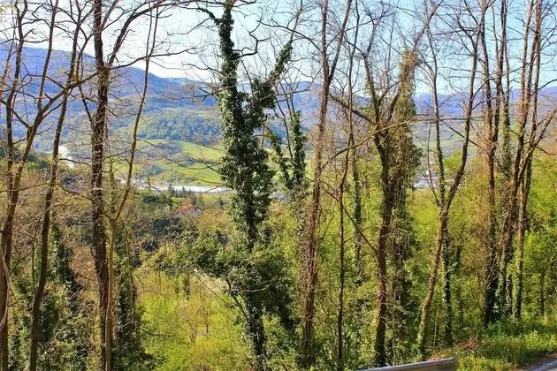 Stüdyo, 1 Büyük (Queen) Boy Yatak