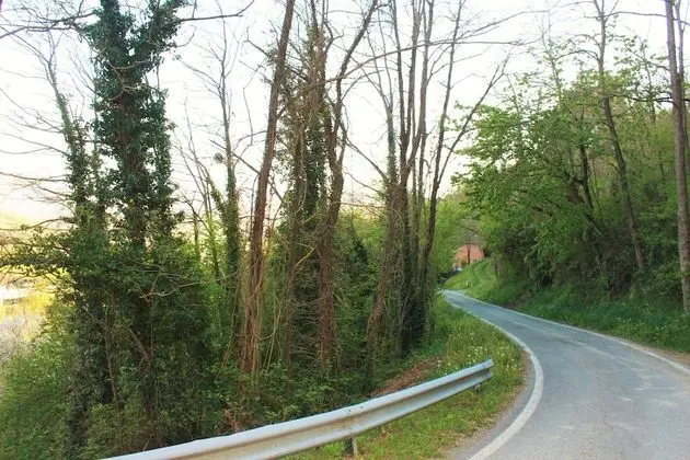 Stüdyo, 1 Büyük (Queen) Boy Yatak