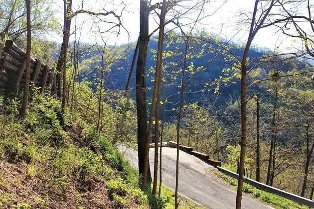 Stüdyo, 1 Büyük (Queen) Boy Yatak