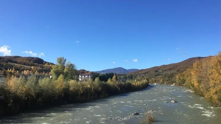 Stüdyo, 1 Büyük (Queen) Boy Yatak