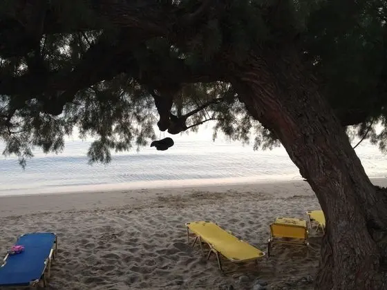 Apart Daire, 1 Yatak Odası, Balkon