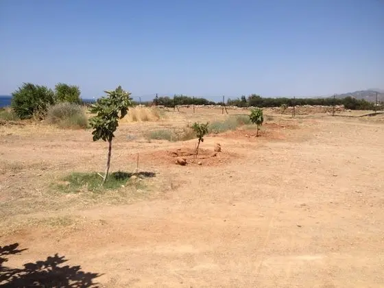 Apart Daire, 1 Yatak Odası, Balkon