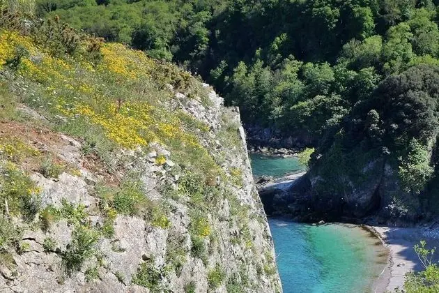 Ev, Birden Çok Yatak
