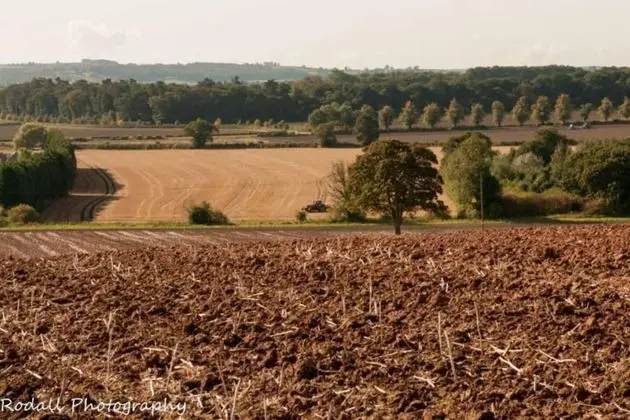 Kır Evi, Birden Çok Yatak
