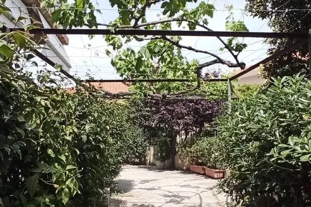 Villa, Birden Çok Yatak