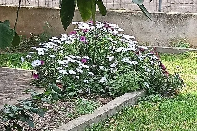 Villa, Birden Çok Yatak