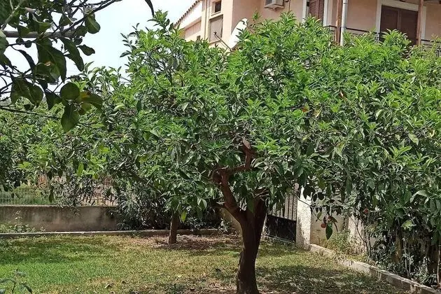 Villa, Birden Çok Yatak