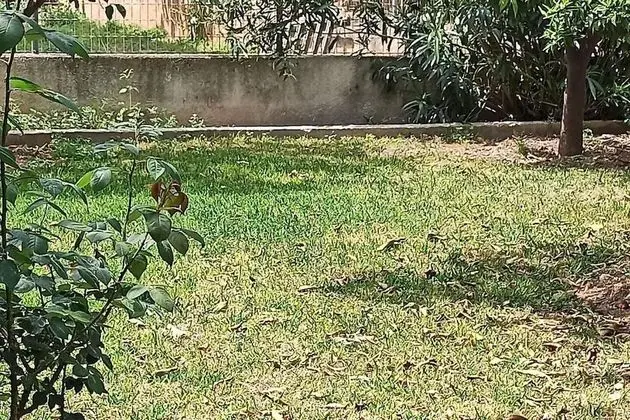 Villa, Birden Çok Yatak