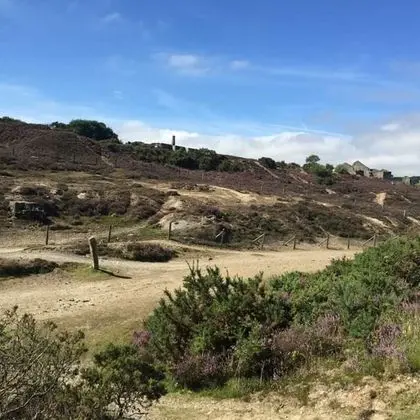 Kır Evi, Birden Çok Yatak