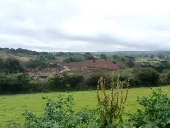 Kır Evi, Birden Çok Yatak