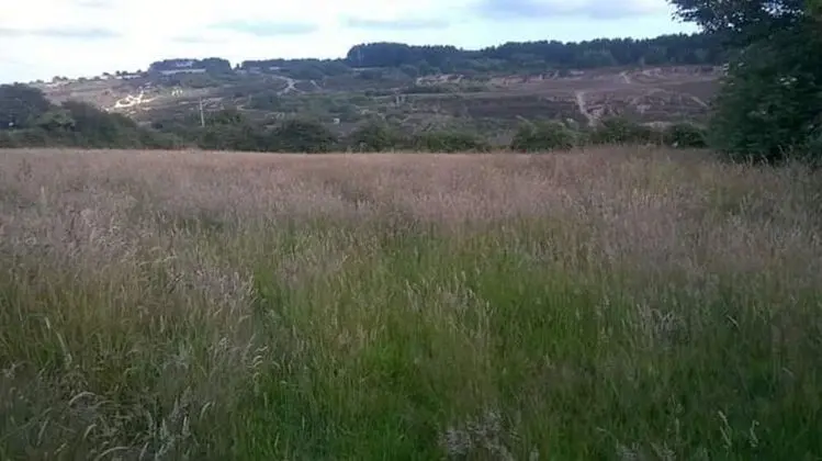 Kır Evi, Birden Çok Yatak