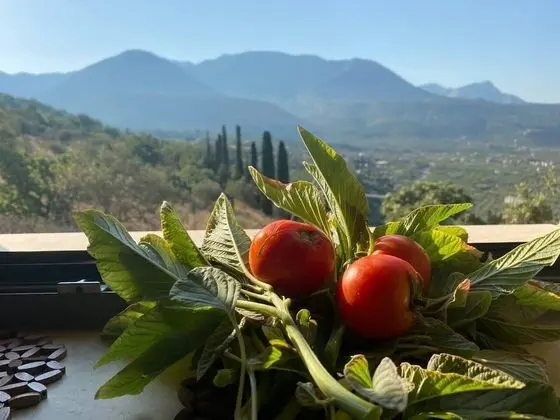 Villa, Birden Çok Yatak