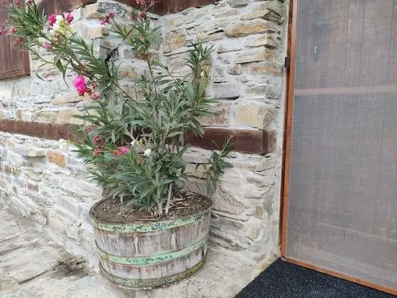 Ev, Birden Çok Yatak