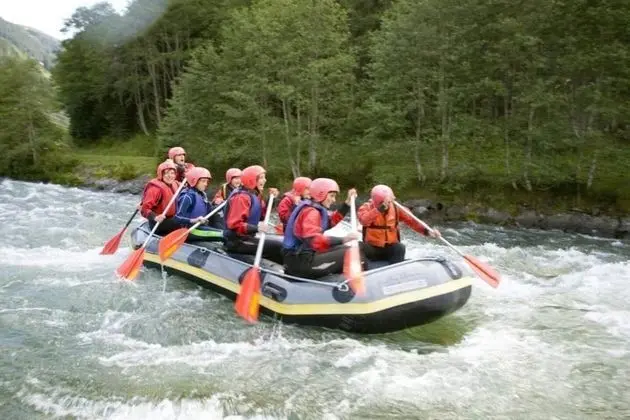 Apart Daire, Birden Çok Yatak