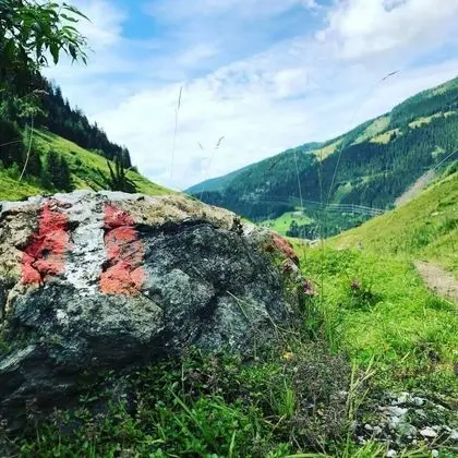 Apart Daire, Birden Çok Yatak